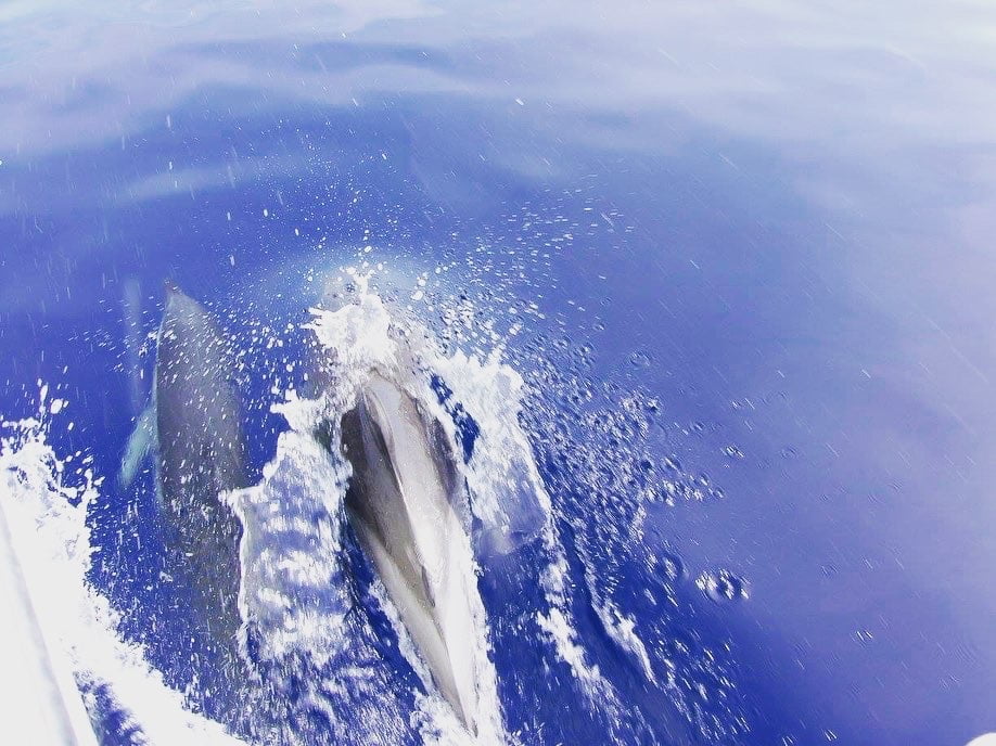 barca a vela eolie